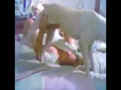 It is impossible for a white dog to survive without getting a blowjob from its obscene domina